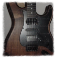 My Guitar Collection